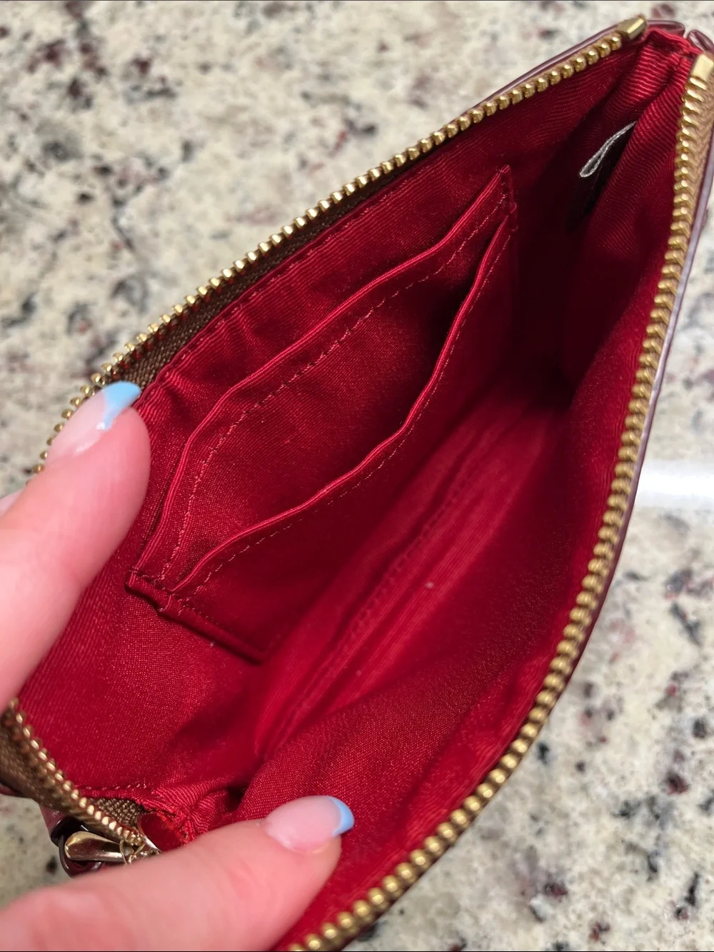 Coach Signature Print with Apples Wristlet NWOT